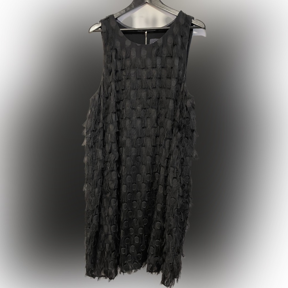 Anthropologie Fringe plus dress - Picture 4 of 5
